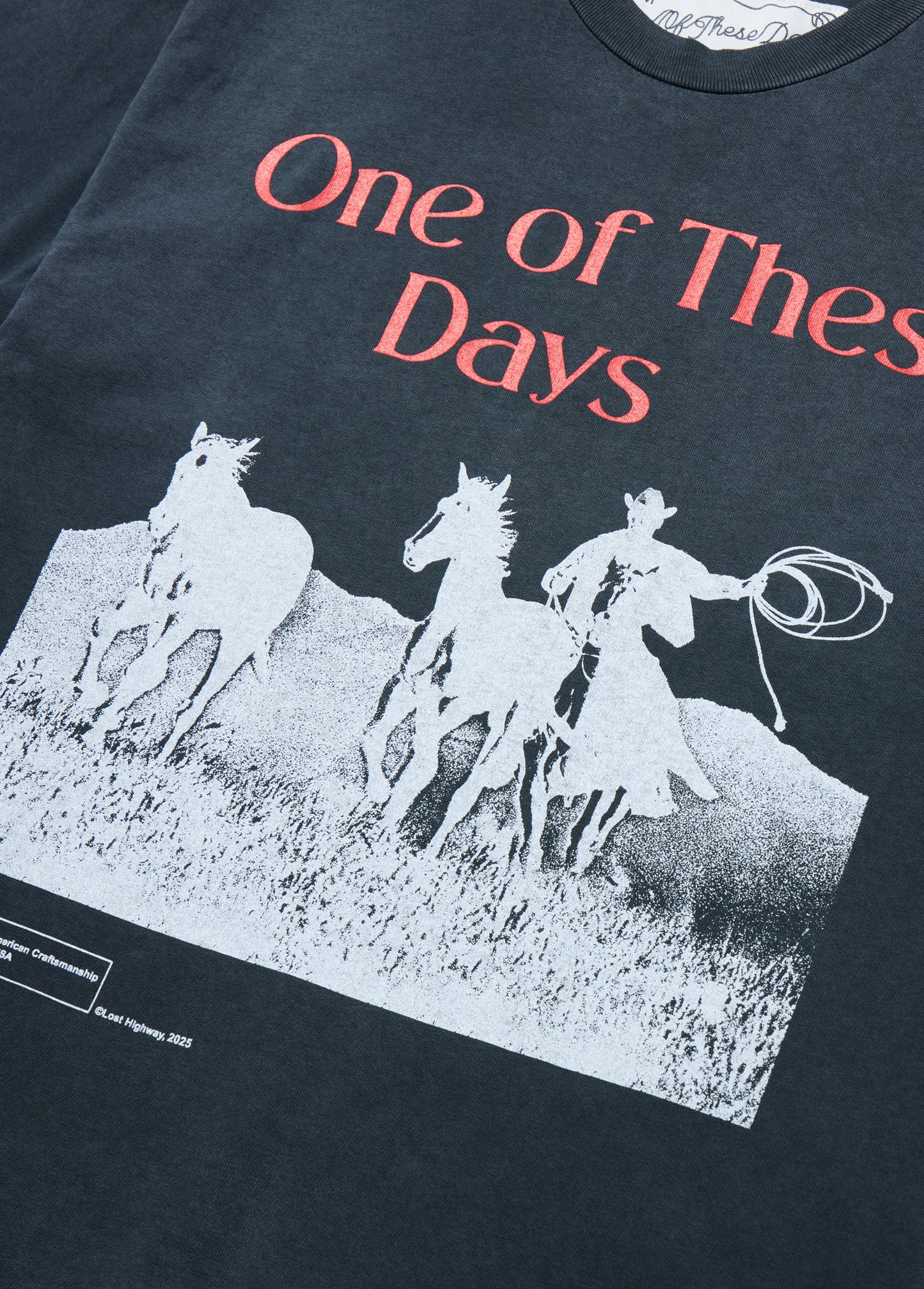 Across The Planes T-Shirt | Sun Faded Black