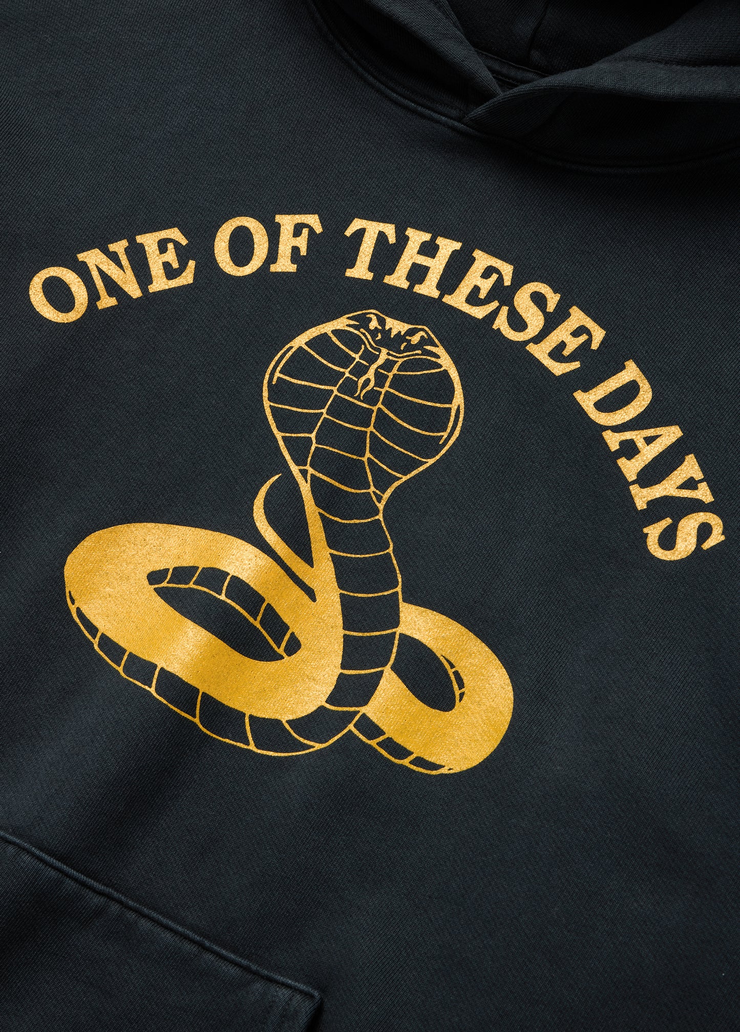 Cobra Hooded Sweatshirt | Washed Black