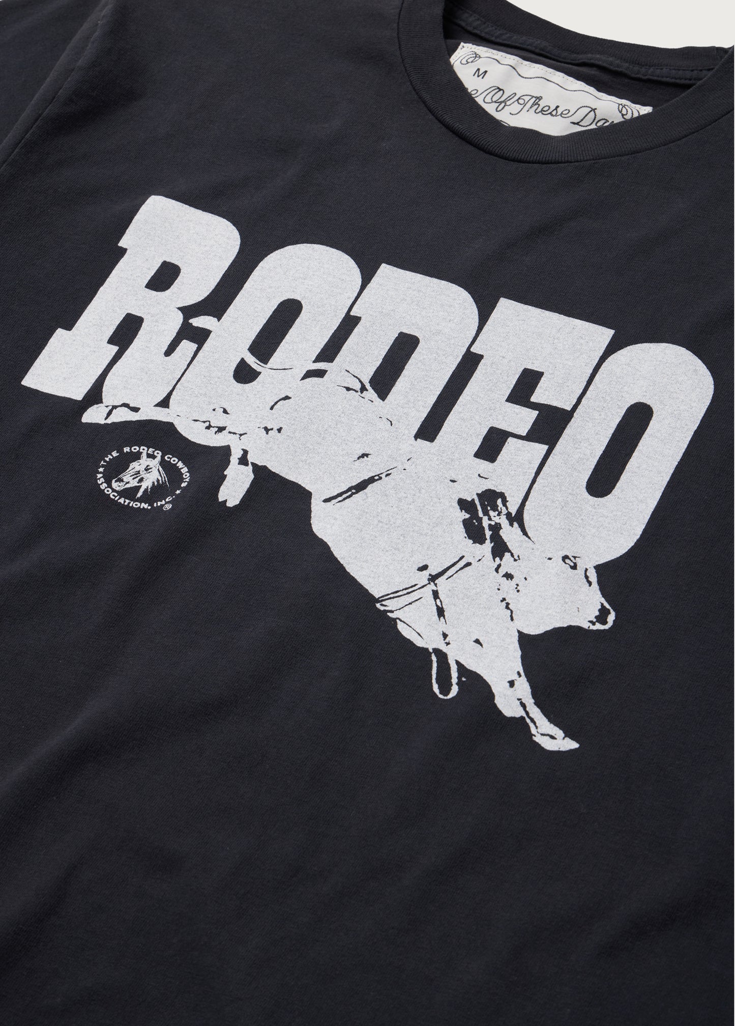 Go Rodeo T-Shirt | Washed Black