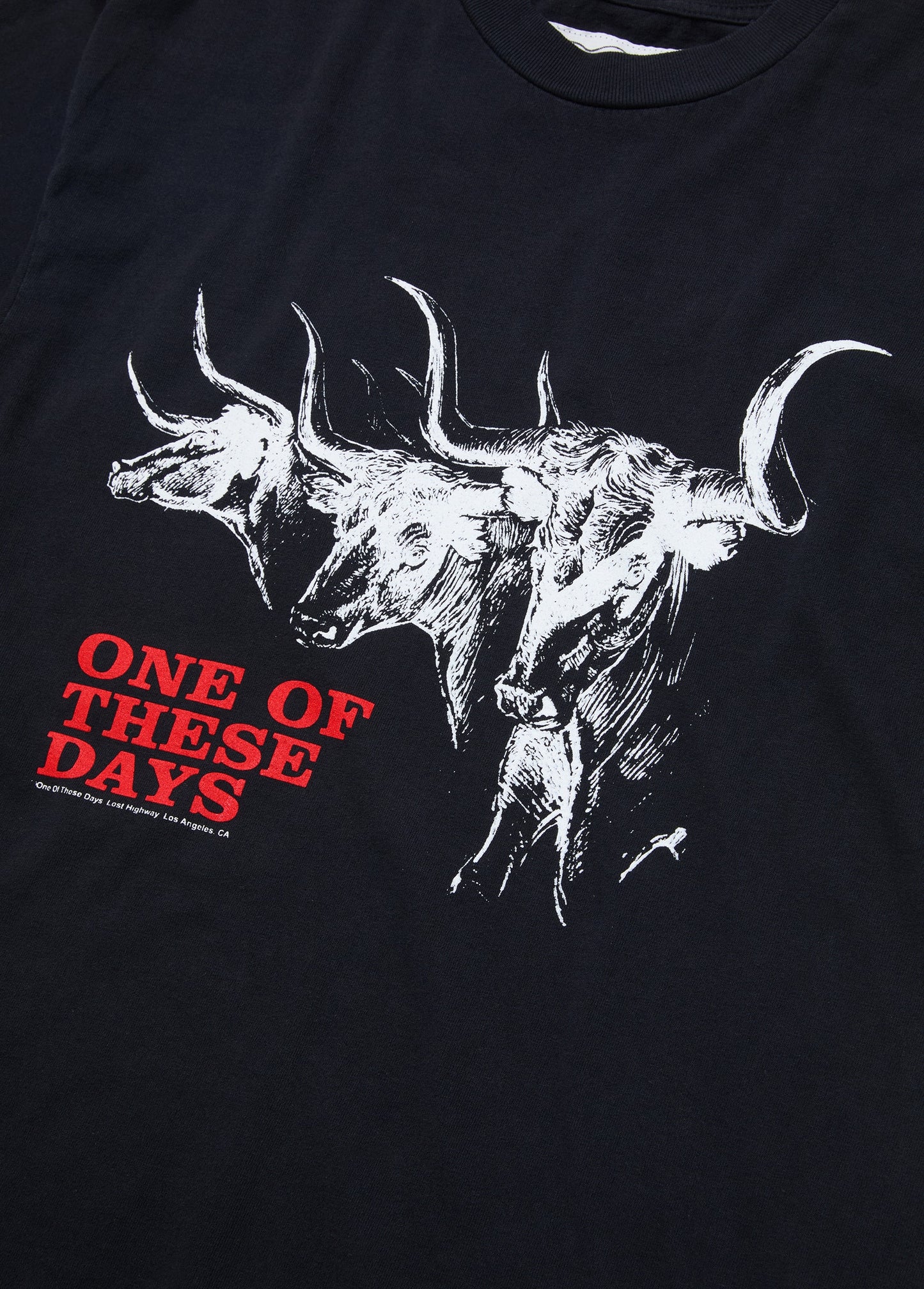 Long Horn T-Shirt | Washed Black