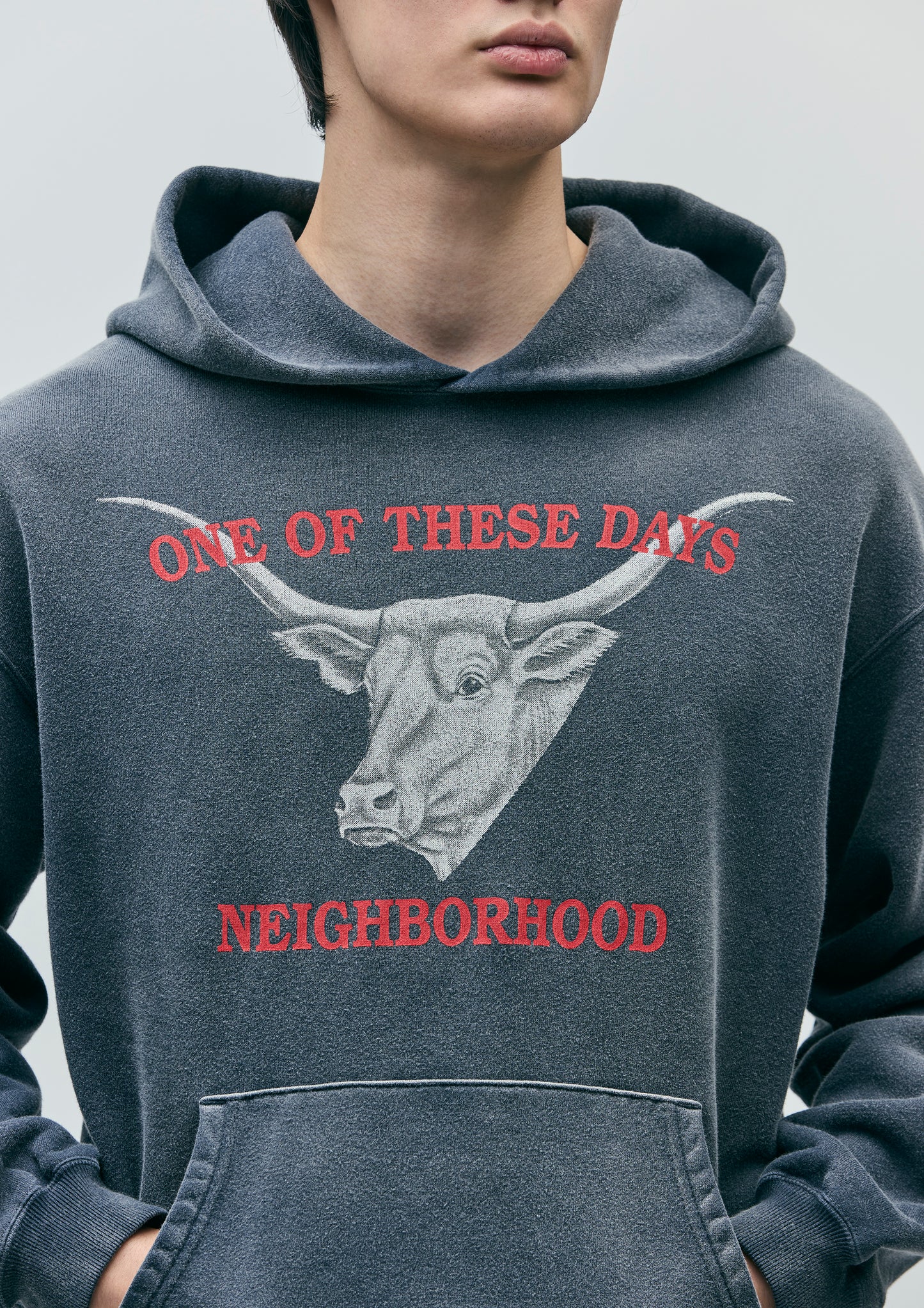 Longhorn Hooded Sweatshirt | Sun Faded Black