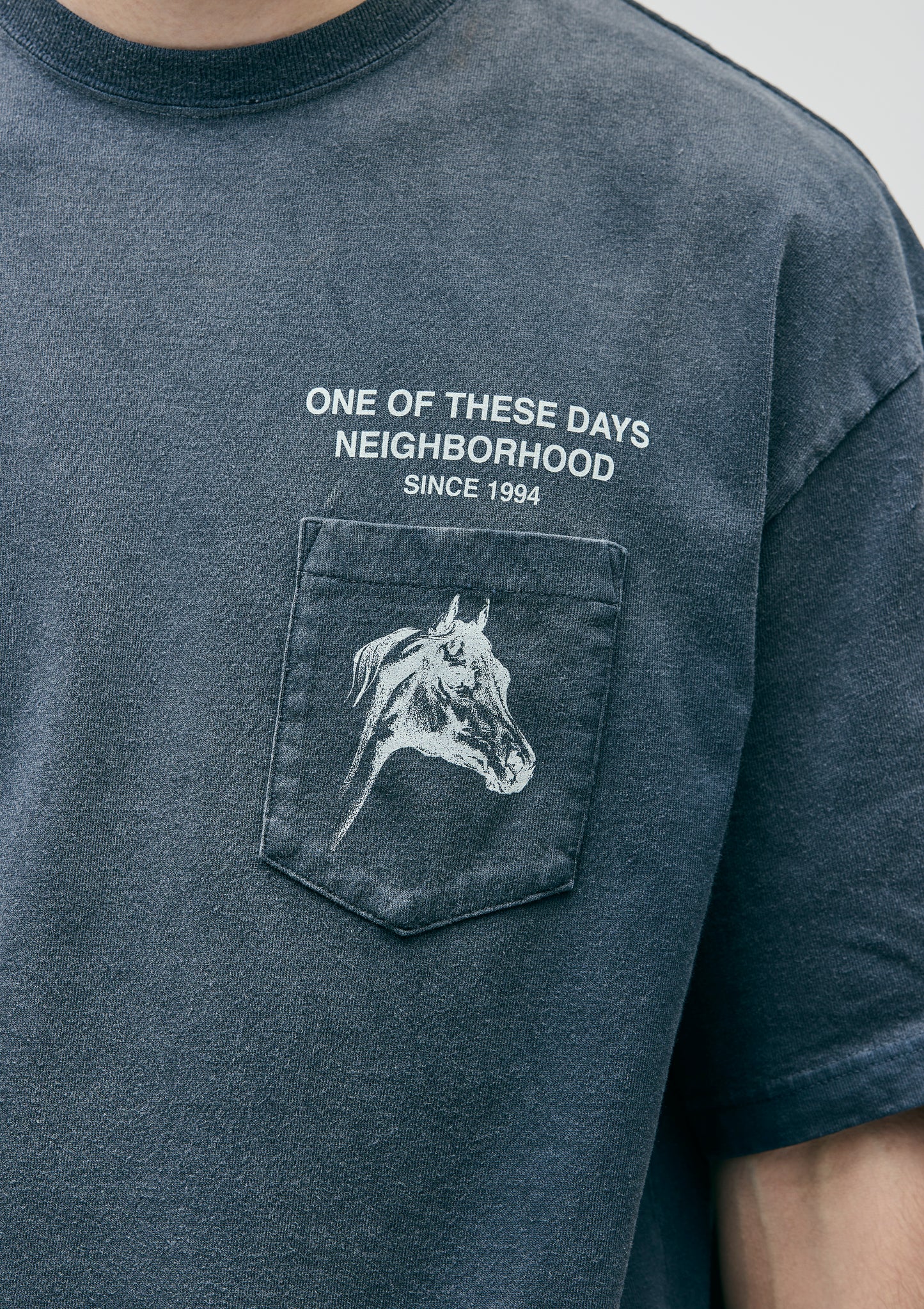 Horse Head Tee | Sun Faded Black