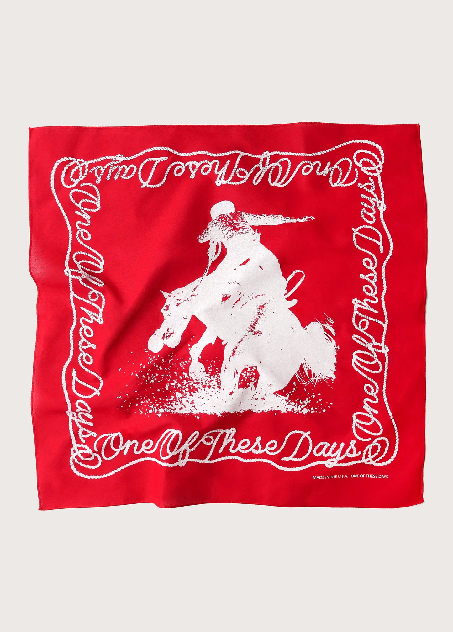 One of These Days Bandana | Red