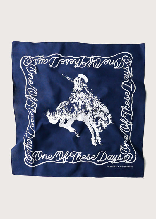 One of These Days Bandana | Navy