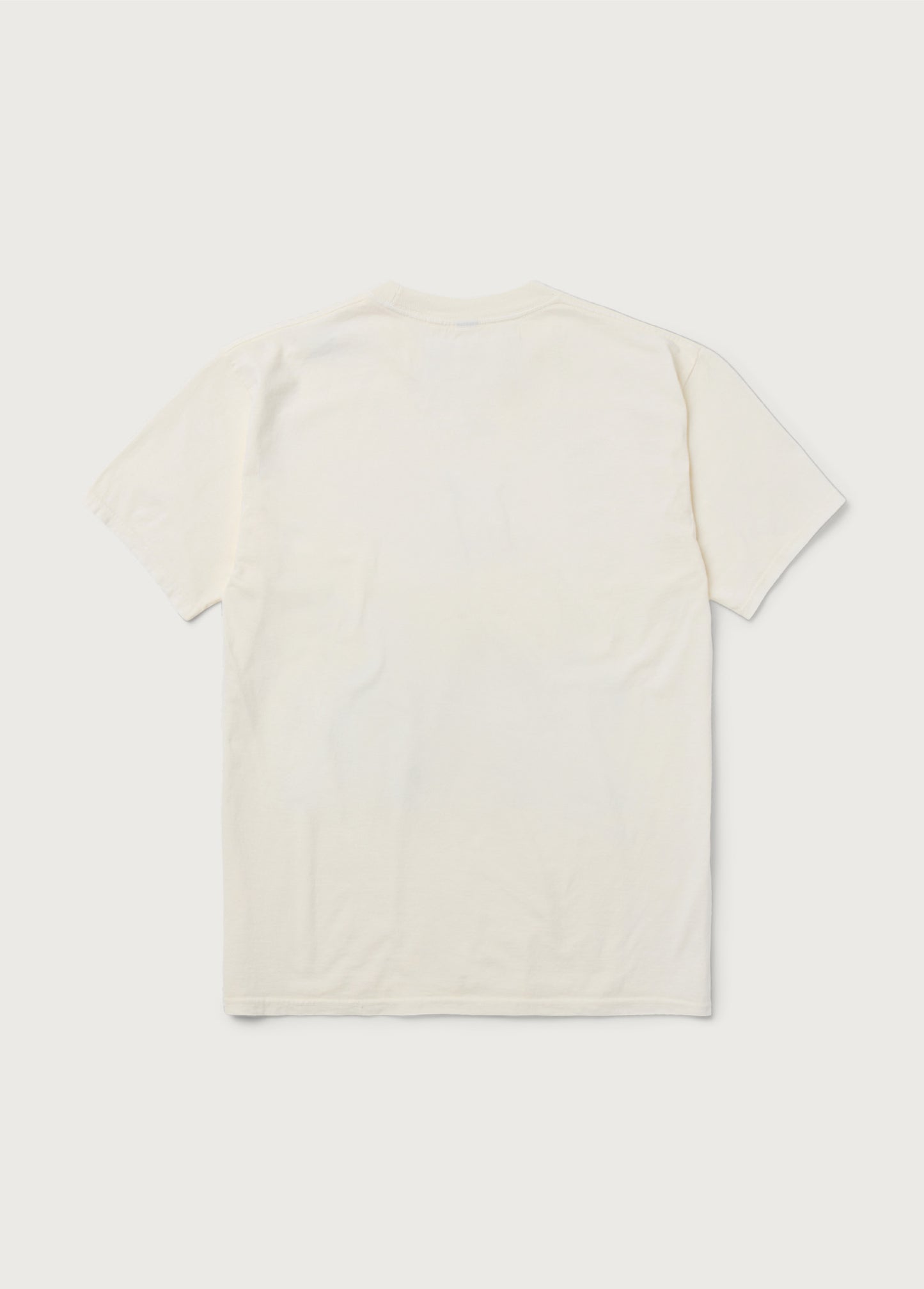 Across The Planes T-Shirt | Bone