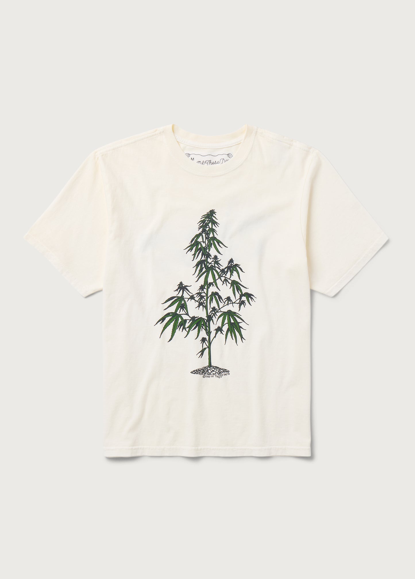 Away Go Troubles Tee | Bone