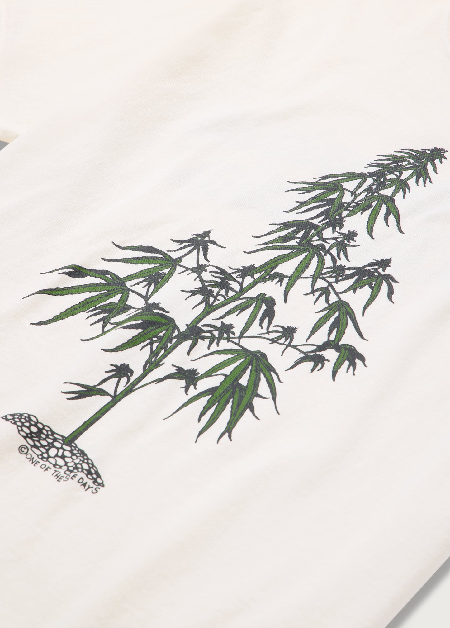 Away Go Troubles Tee | Bone