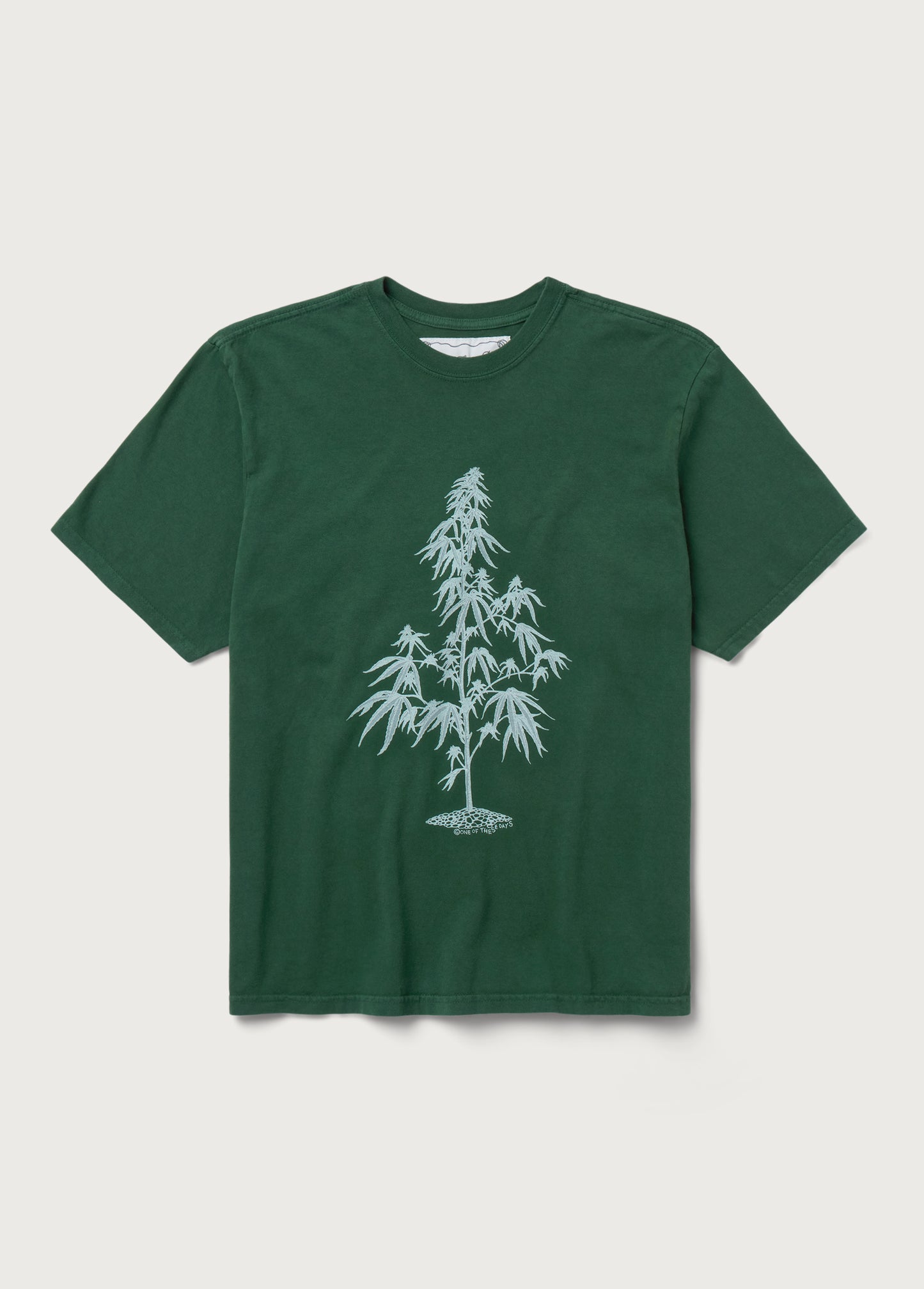 Away Go Troubles Tee | Washed Forest