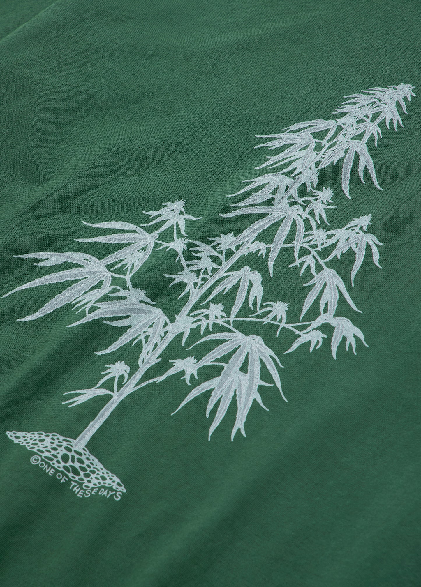 Away Go Troubles Tee | Washed Forest