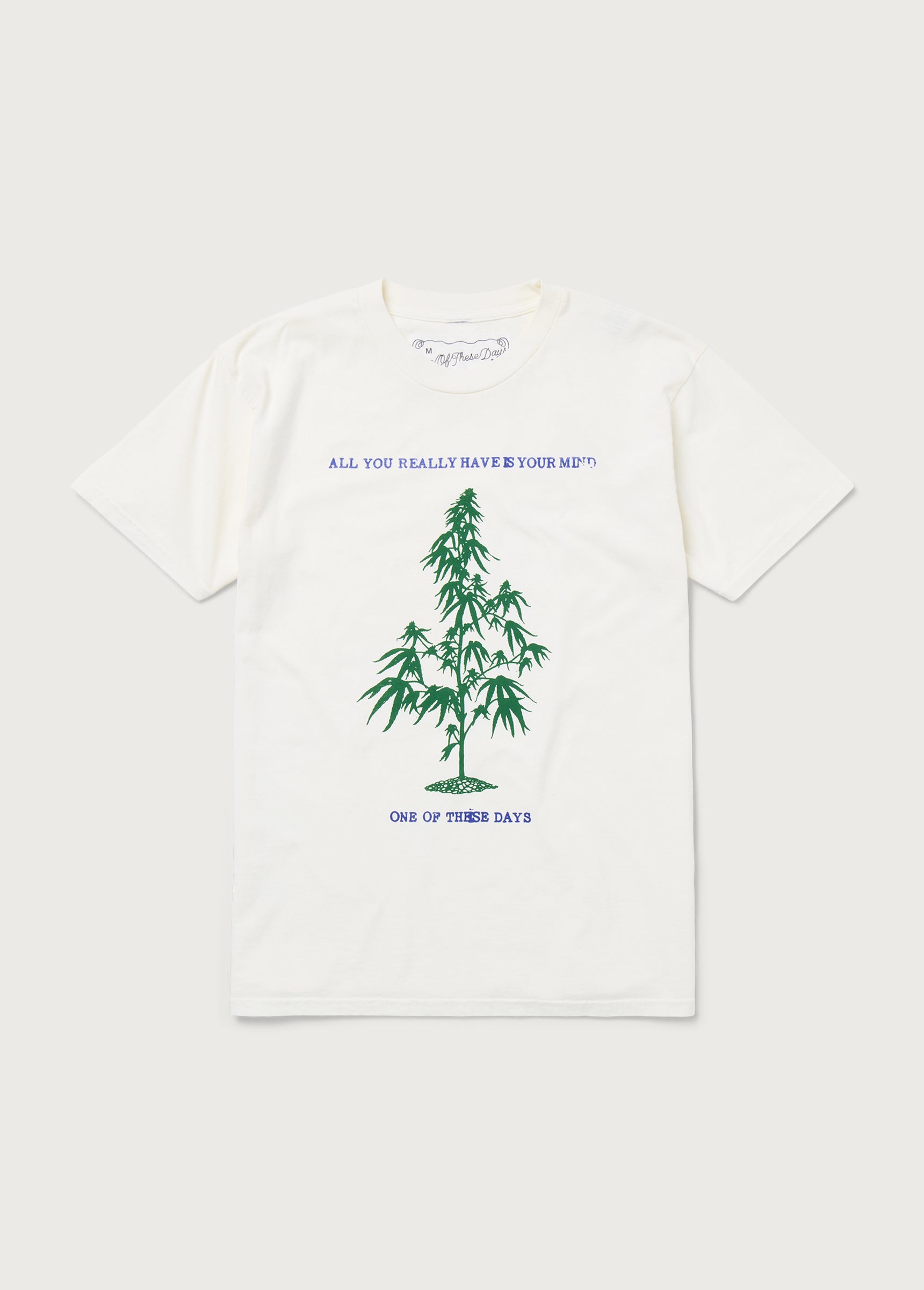 All You Really Have is Your Mind T-Shirt | Bone | One Of These Days