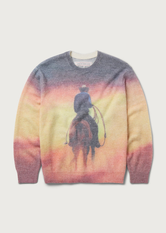 But That Was A Dream Knit Sweater | Multi