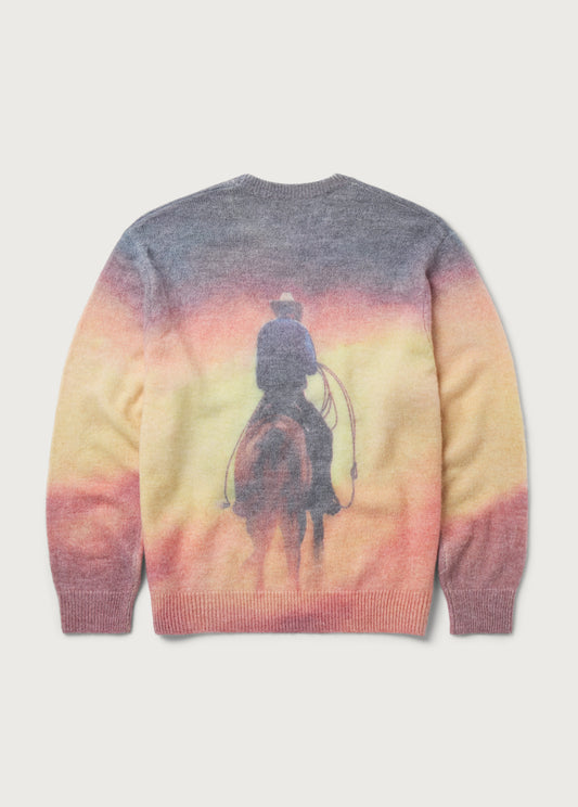 But That Was A Dream Knit Sweater | Multi