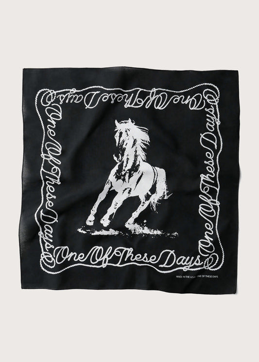 One of These Days Bandana | Black