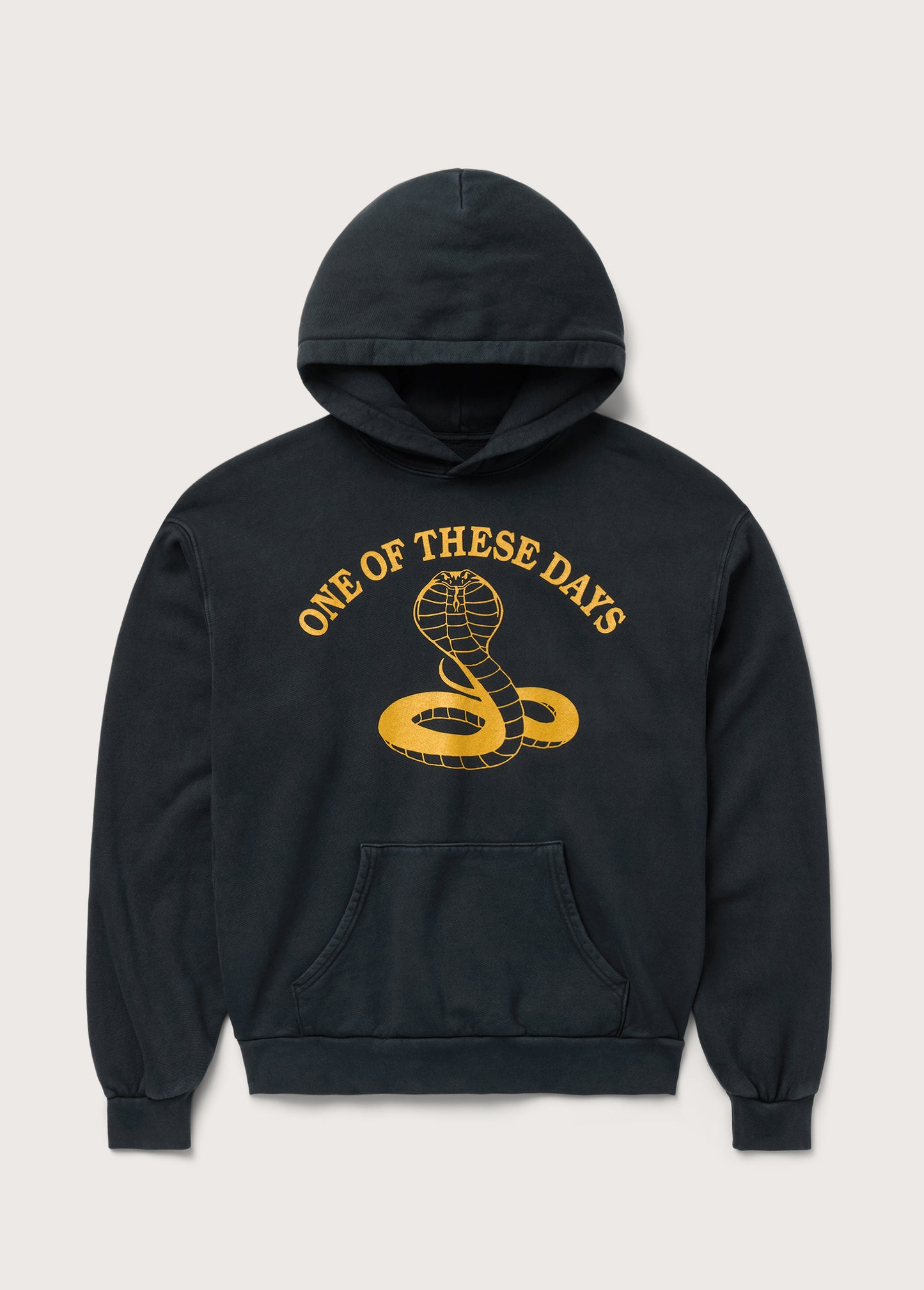 Cobra Hooded Sweatshirt | Washed Black