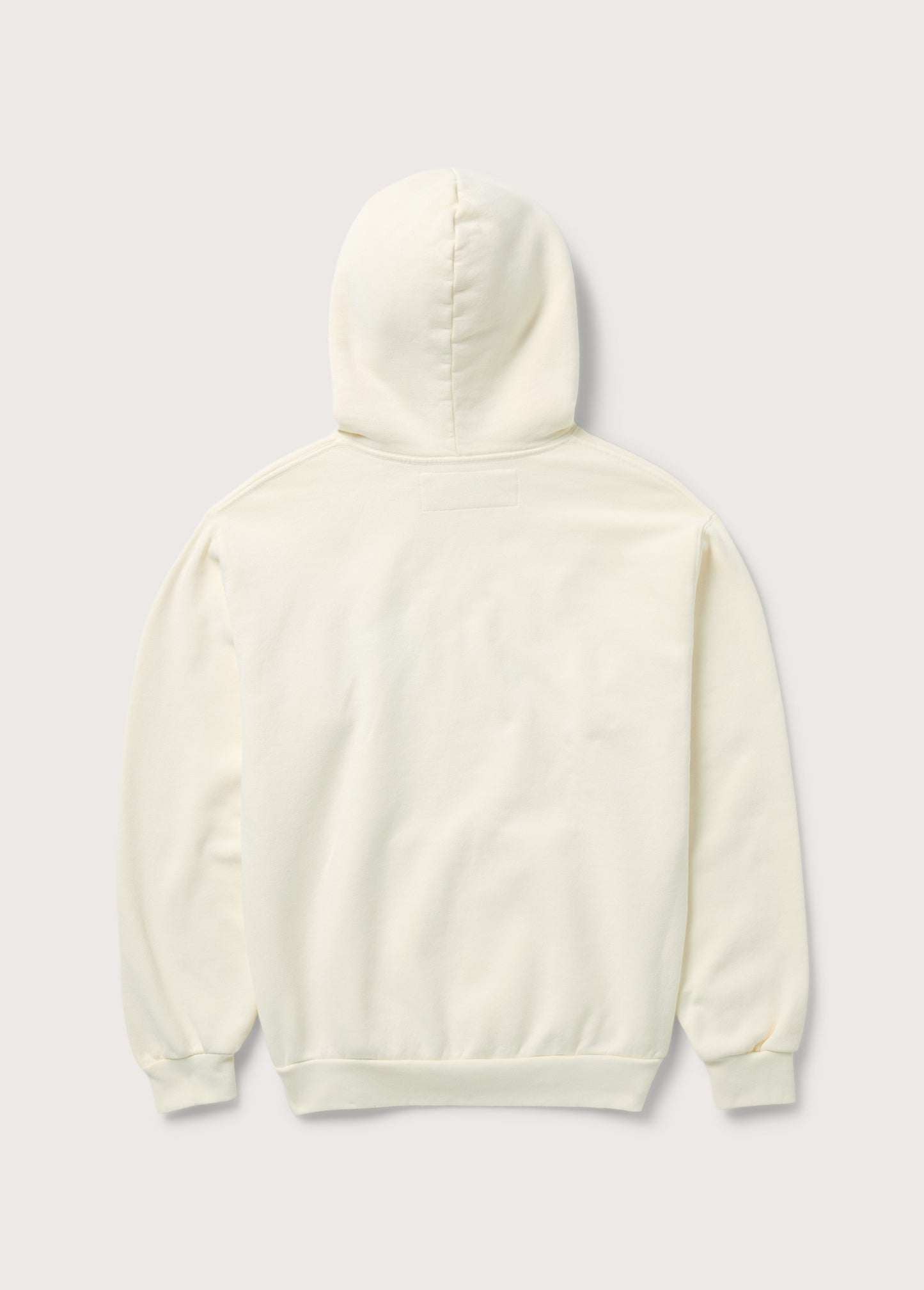 Could Only Remember Hooded Sweatshirt | Bone