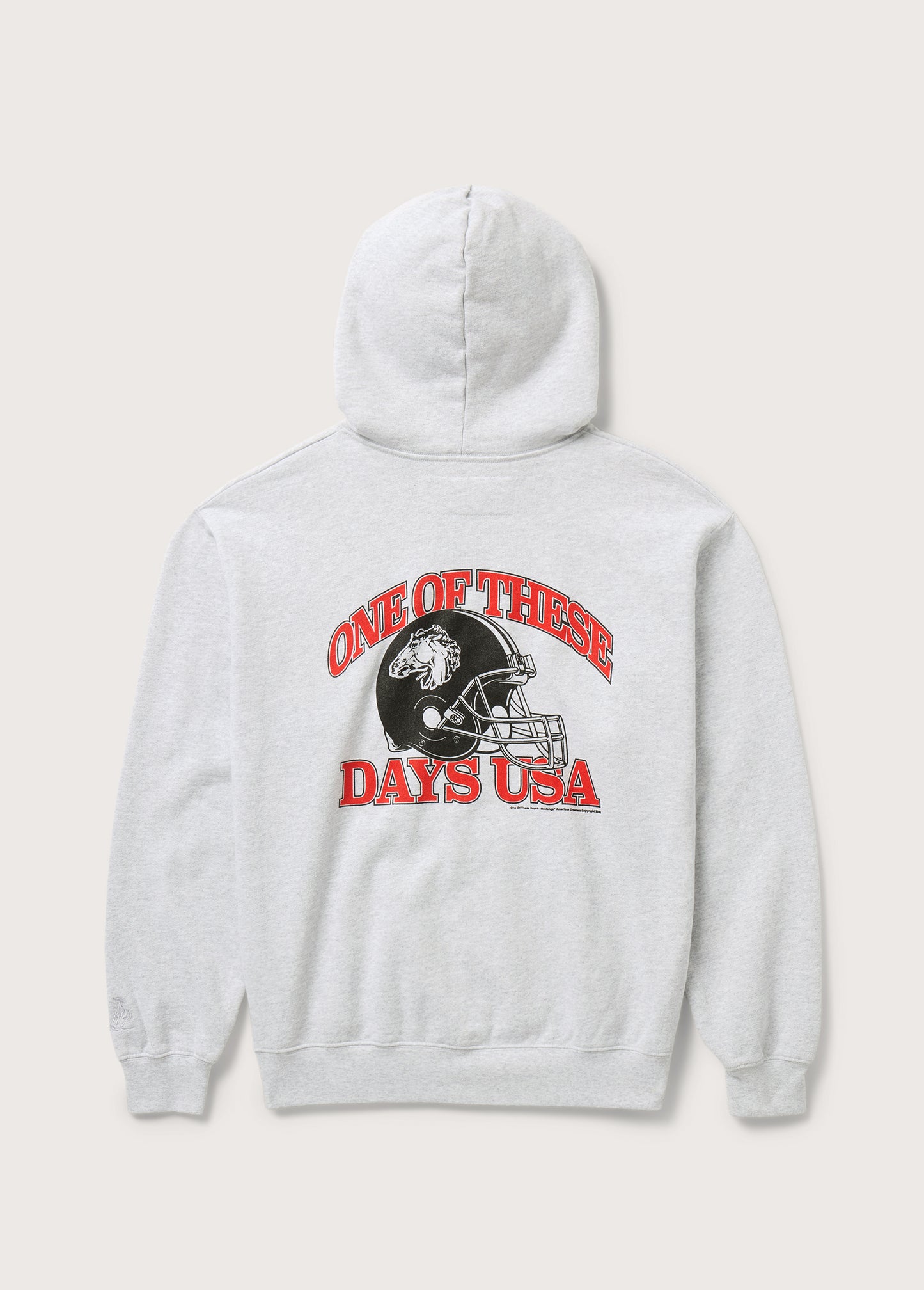 Days USA Zip Up Hooded Sweatshirt | Heather Grey