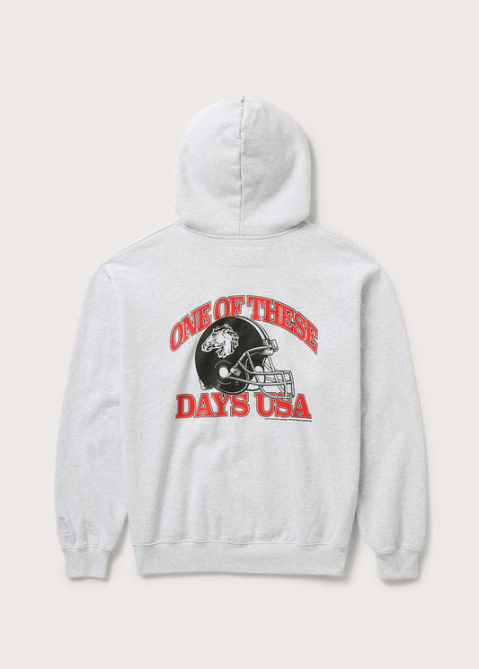 Days USA Zip Up Hooded Sweatshirt | Heather Grey