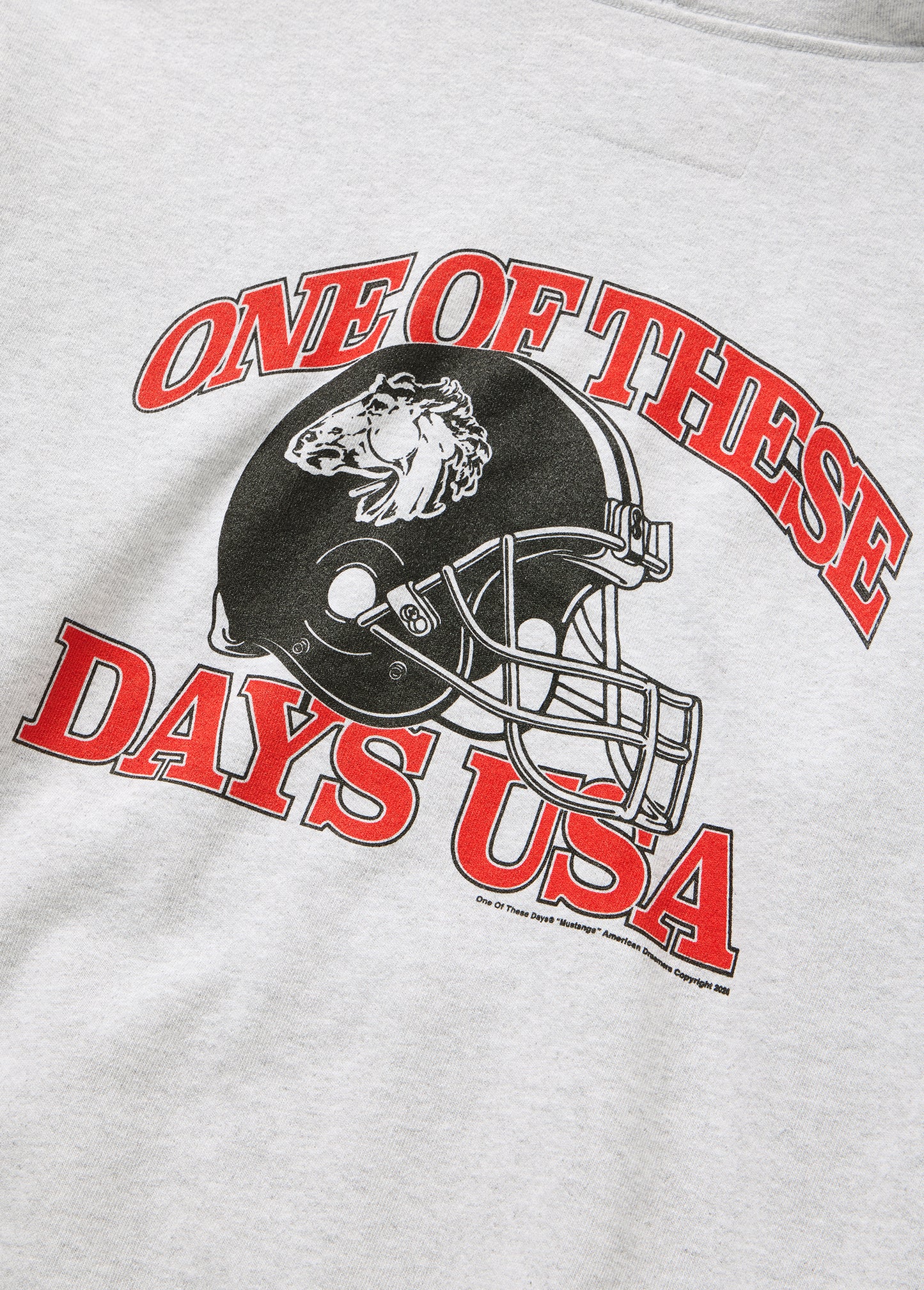 Days USA Zip Up Hooded Sweatshirt | Heather Grey