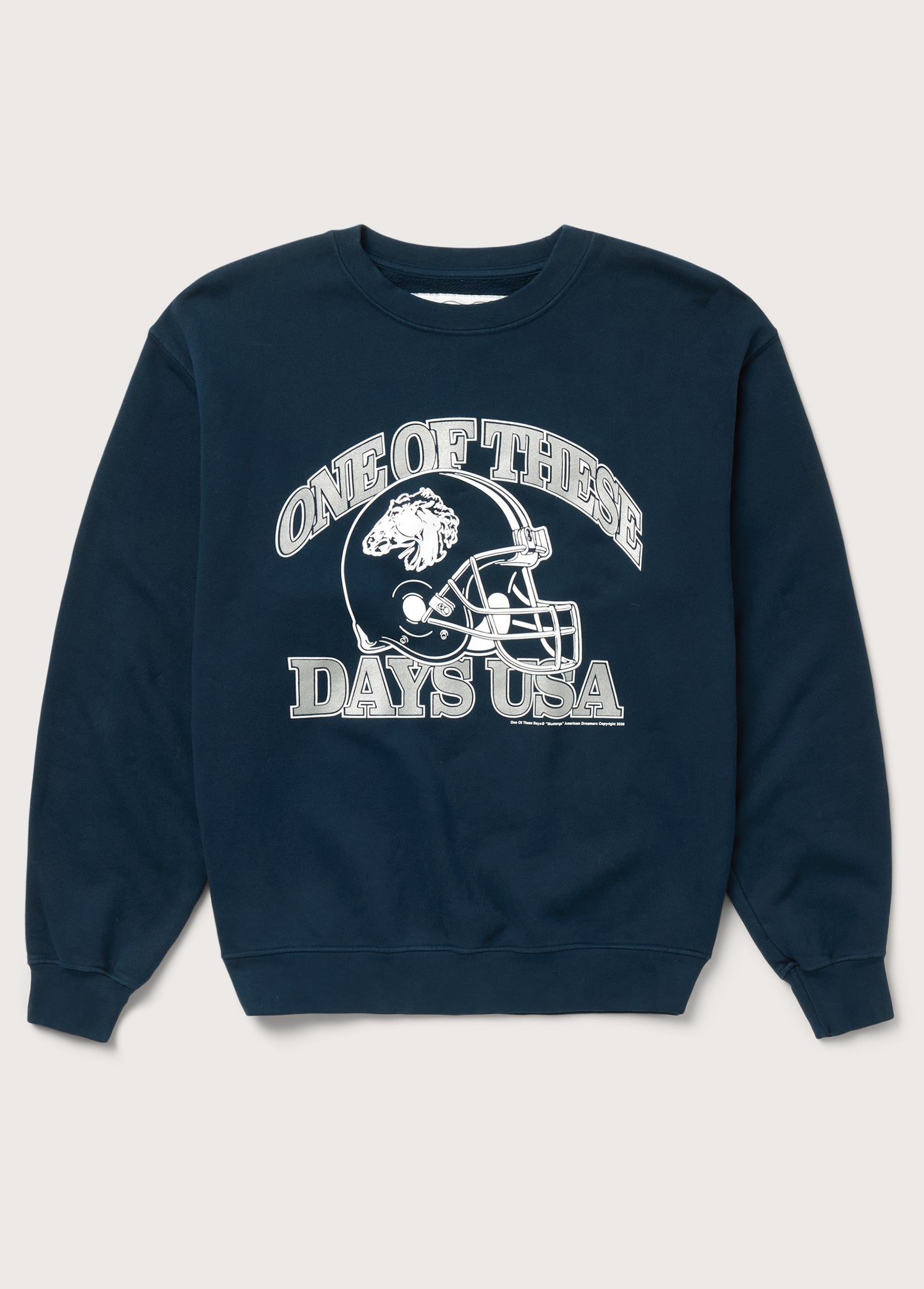 Days USA Crewneck Sweatshirt | Sun Faded Navy