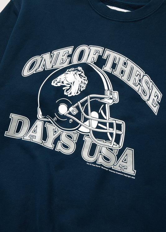 Days USA Crewneck Sweatshirt | Sun Faded Navy