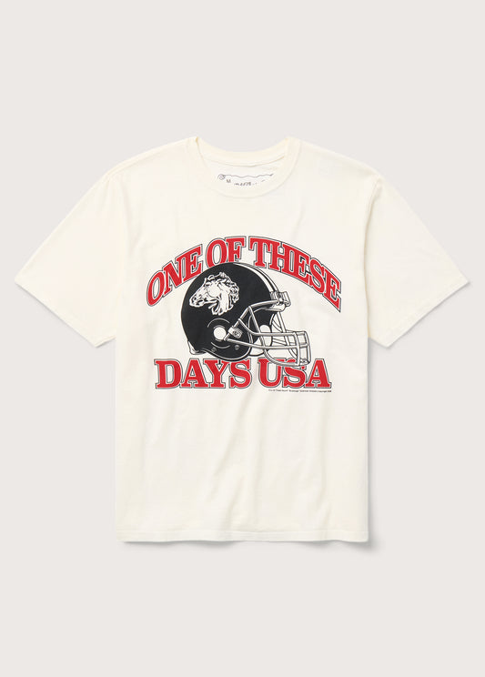 Days USA T-Shirt | Bone