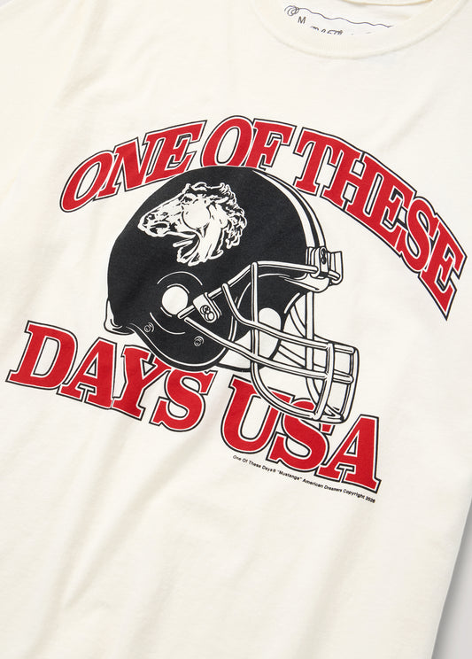 Days USA T-Shirt | Bone
