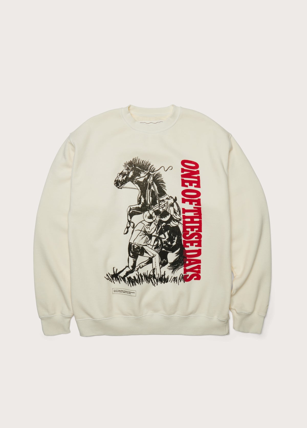 Anyhow Crewneck Sweatshirt | Bone