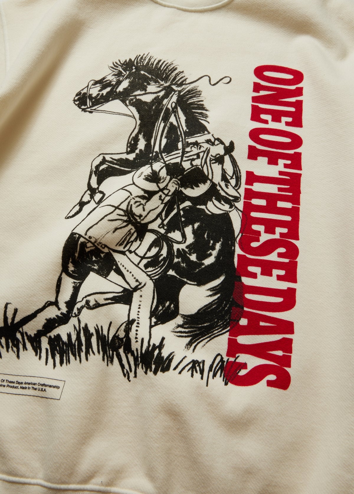 Anyhow Crewneck Sweatshirt | Bone