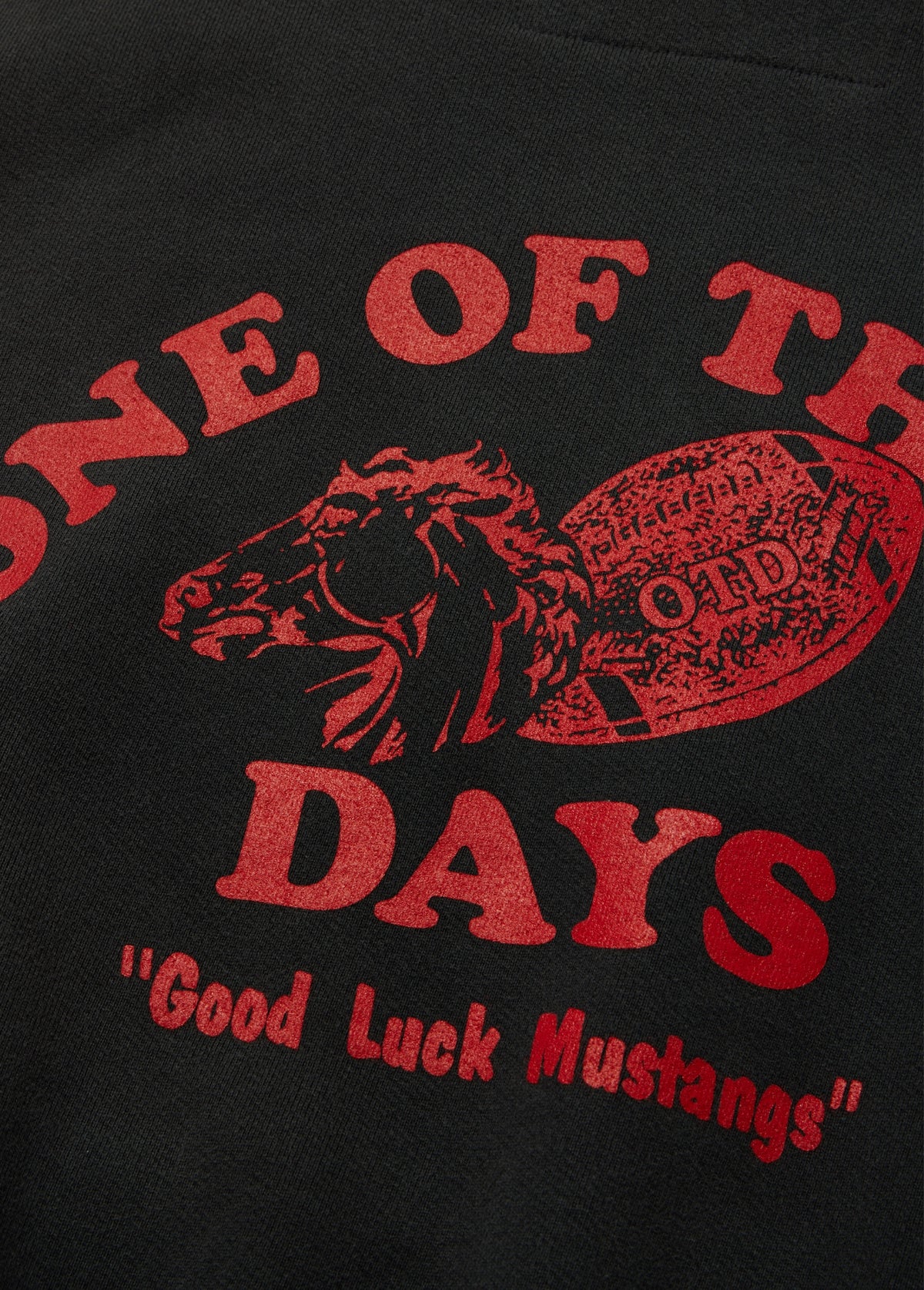 Good Luck Mustangs Hooded Sweatshirt | Sun Faded Black