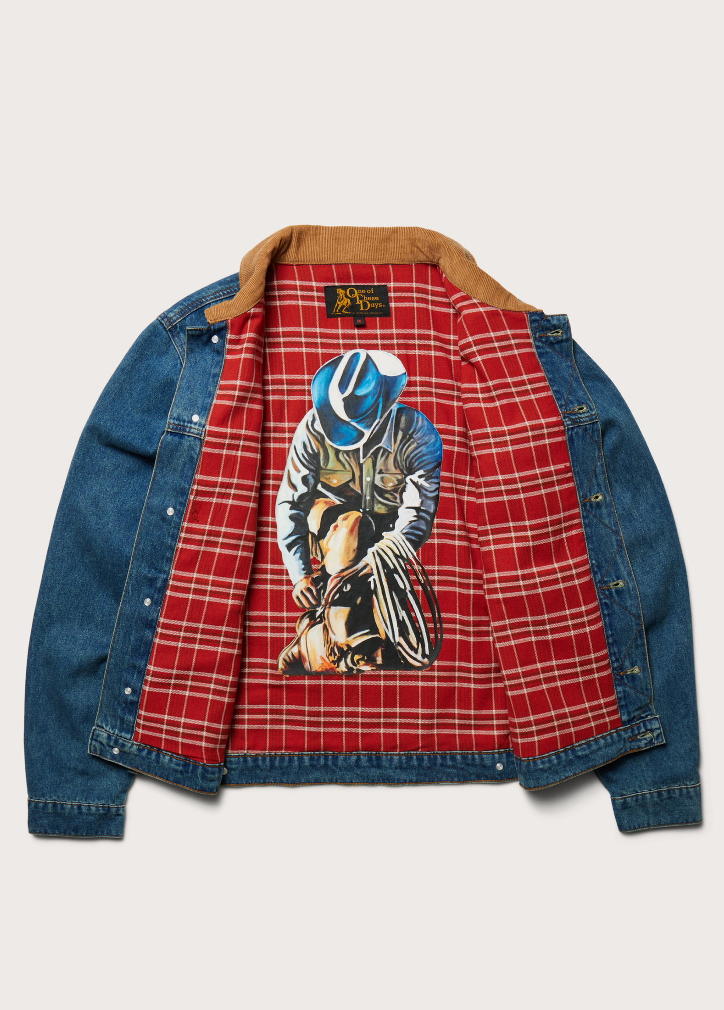 Lined Trucker Jacket | Washed Denim
