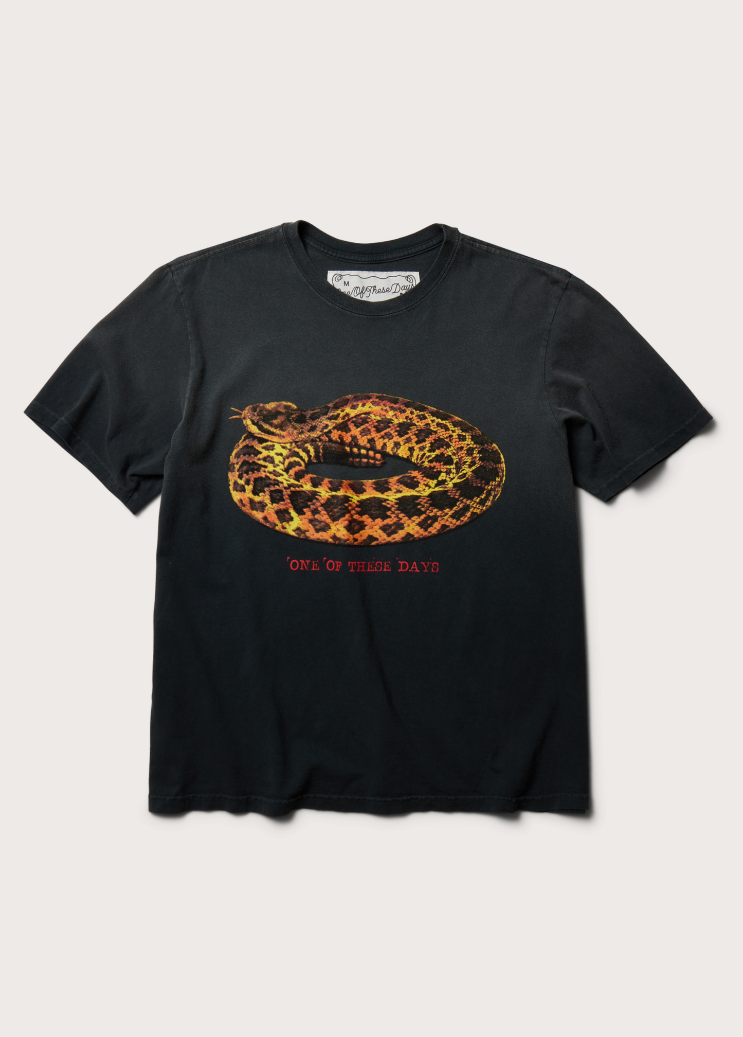 Rattler T-Shirt | Sun Faded Black