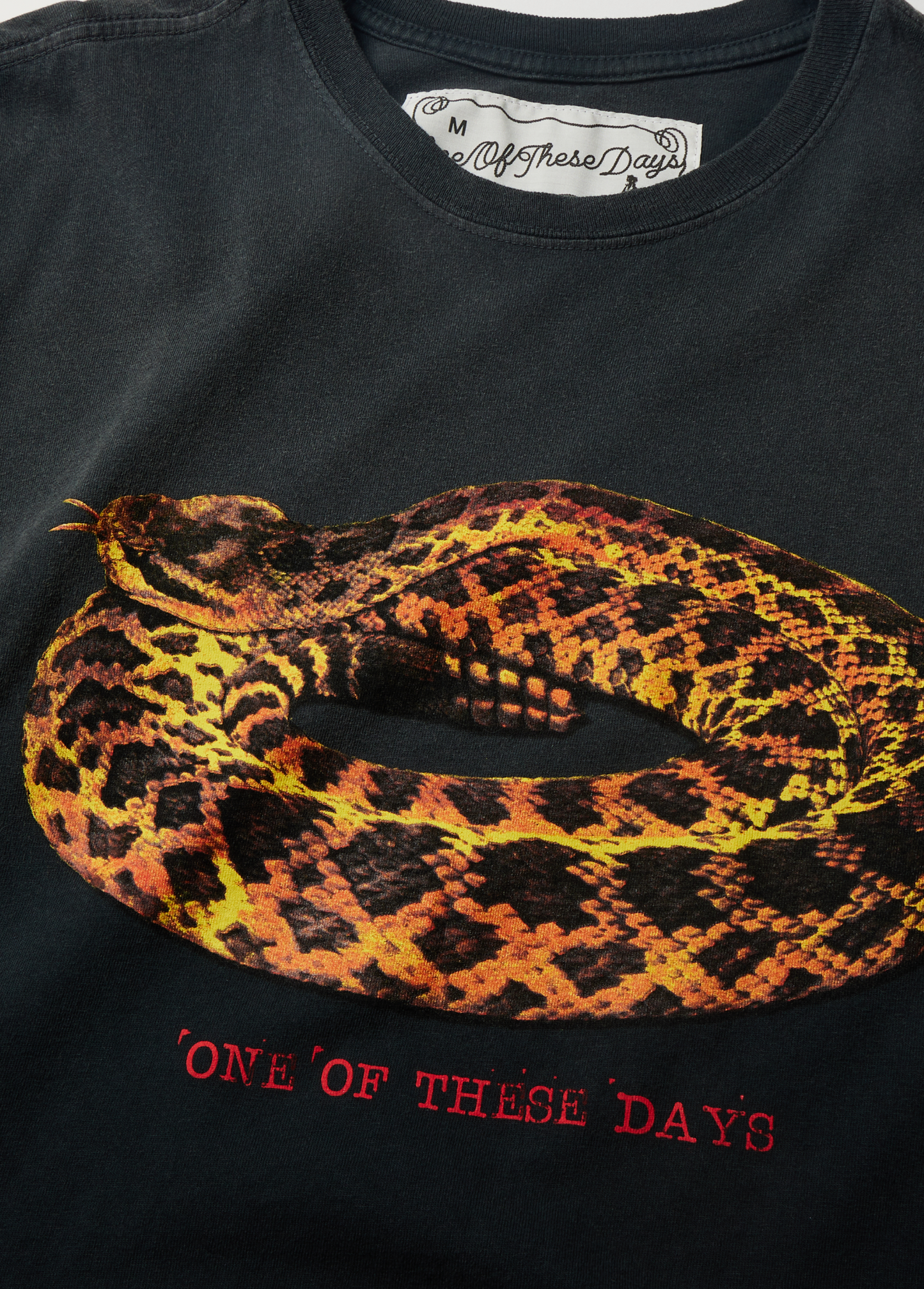 Rattler T-Shirt | Sun Faded Black
