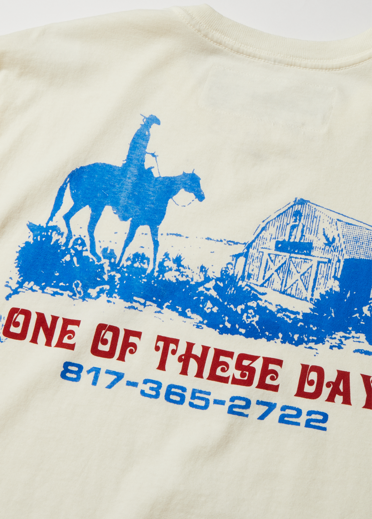 Trail of Dust T-Shirt | Bone