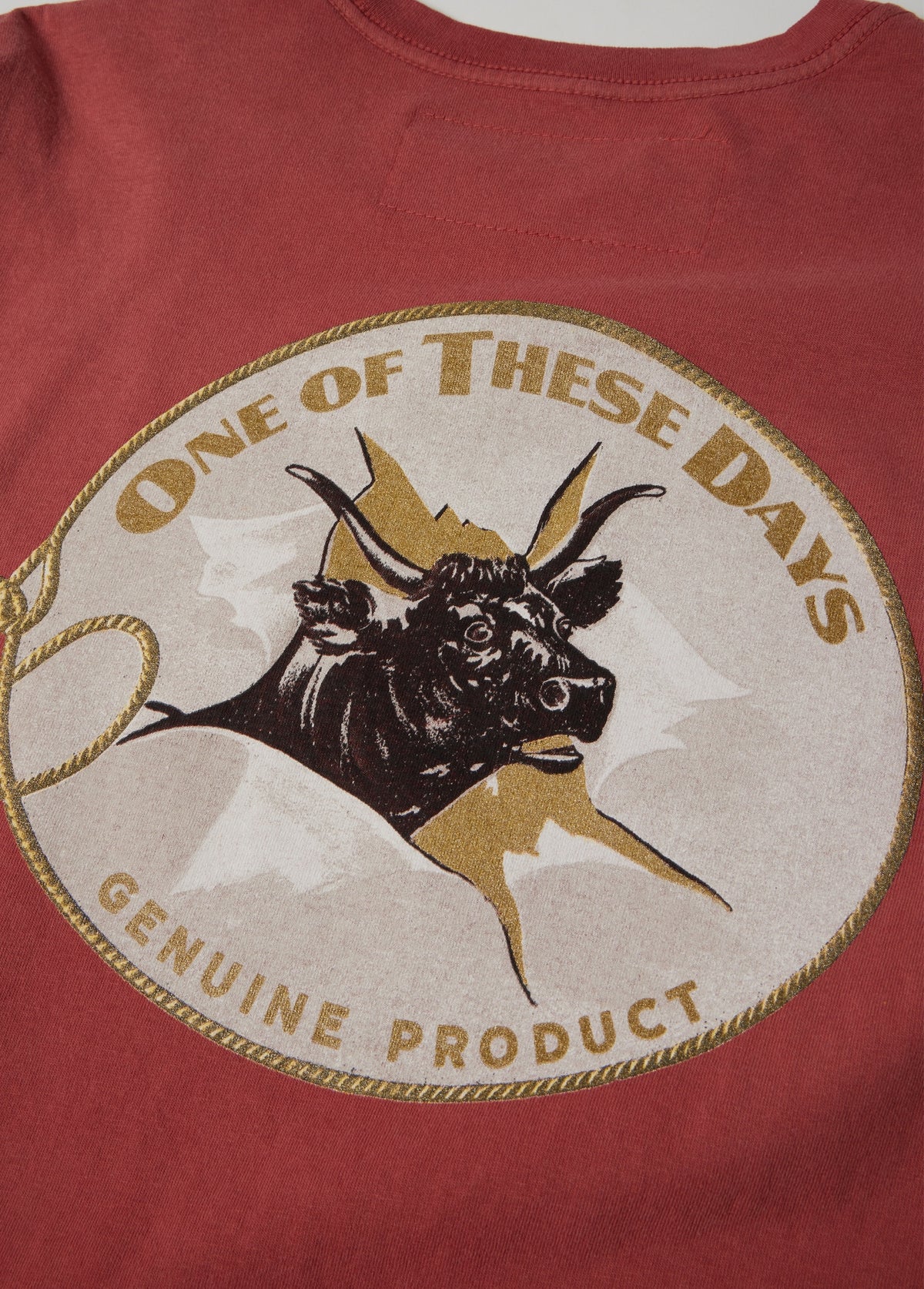 Bull Durham Long Sleeve T-Shirt | Sun Faded Red