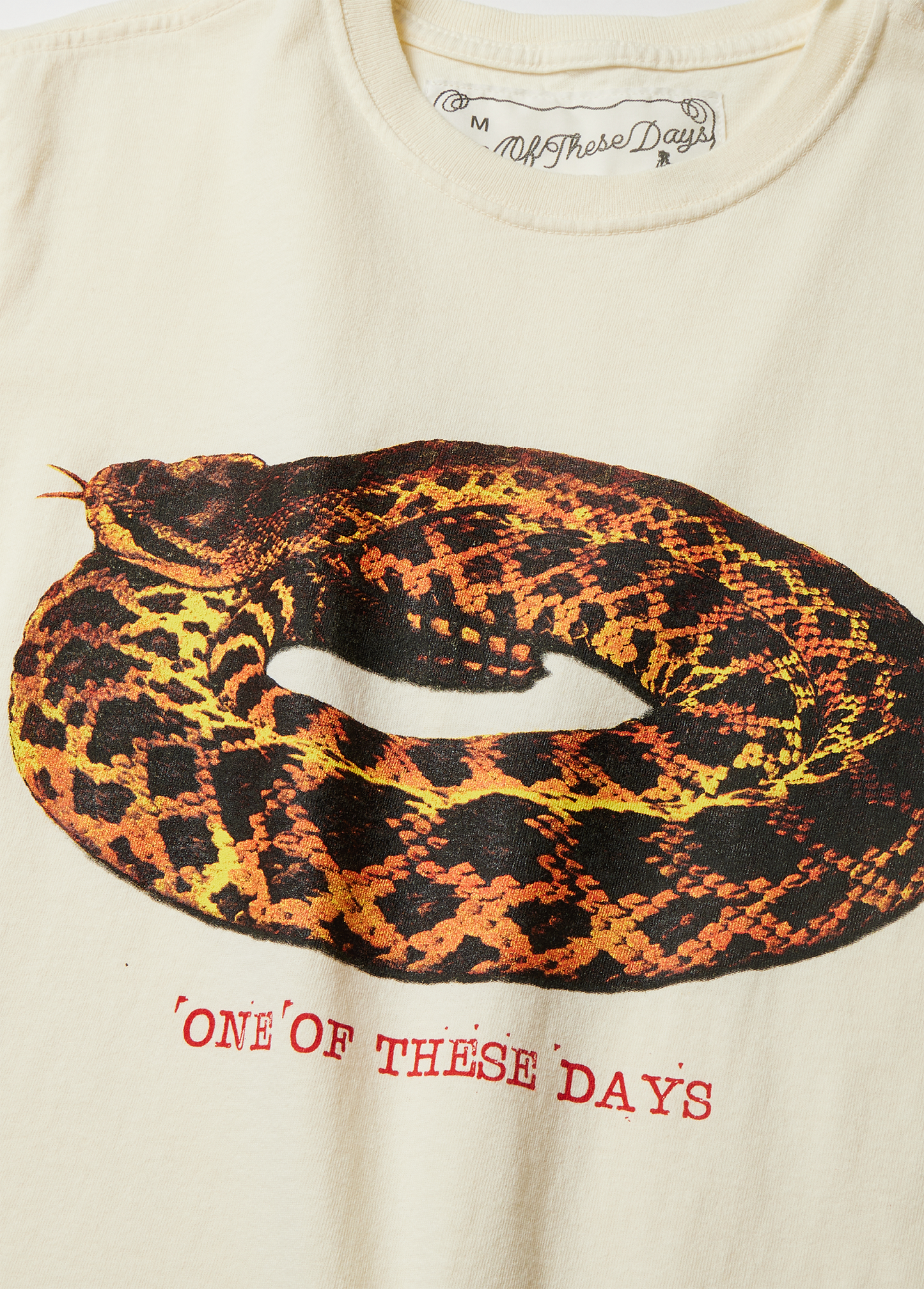 Rattler T-Shirt | Bone