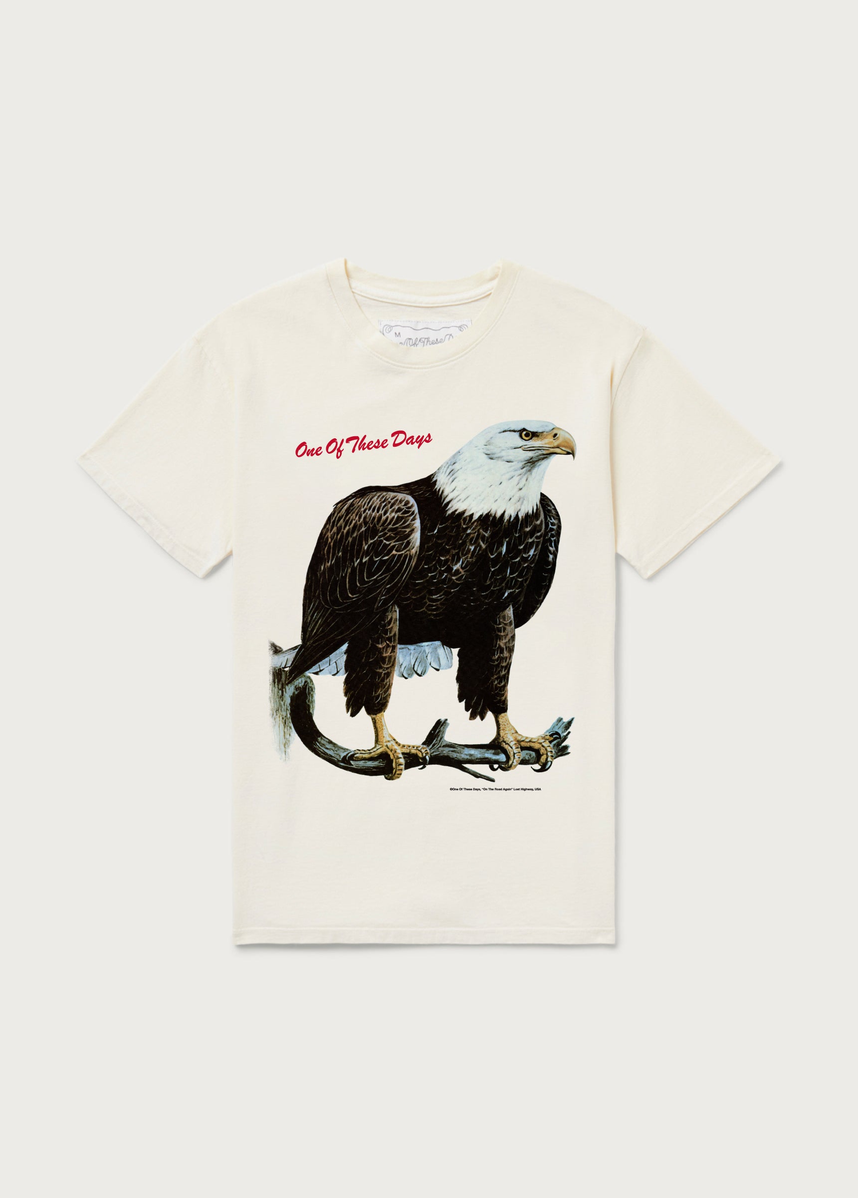 Bird of Prey Tee | Bone | Gift Shop | One Of These Days