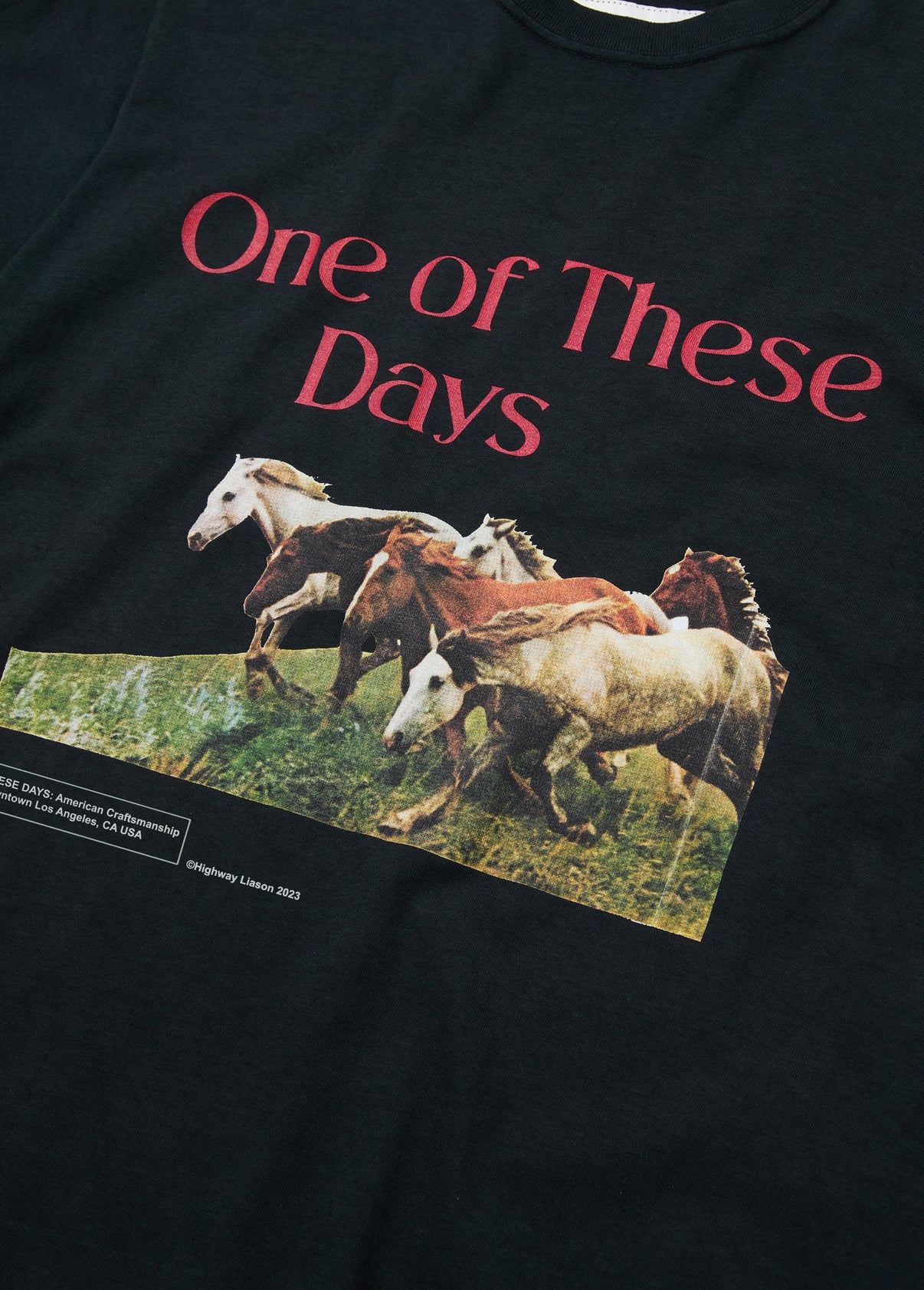 Wild Horses T-Shirt | Washed Black | Lone Star Cafe | One Of These Days