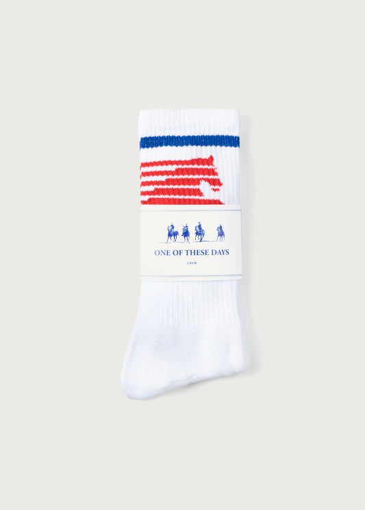 Northern Sky Sock | White