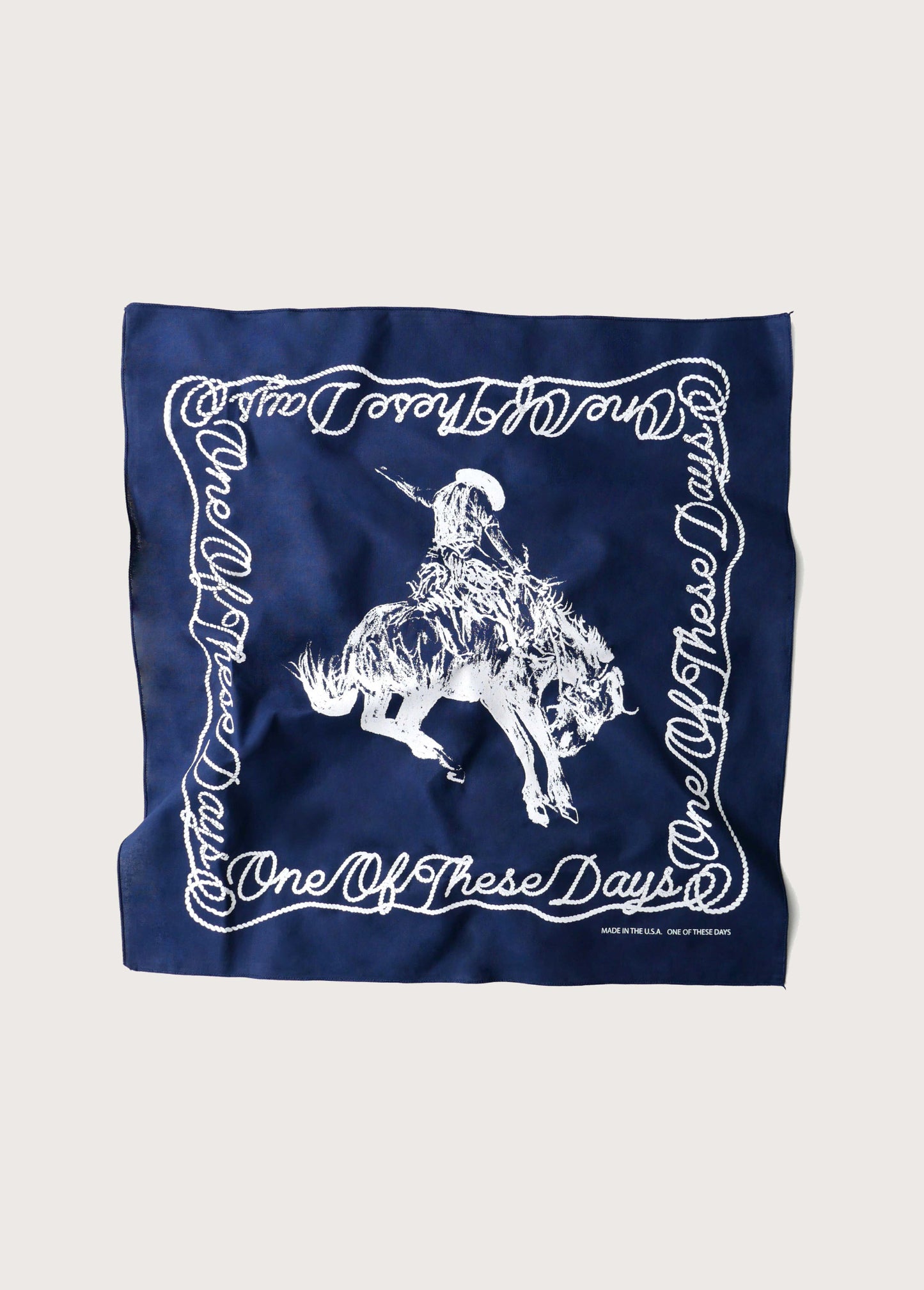 One of These Days Bandana | Navy