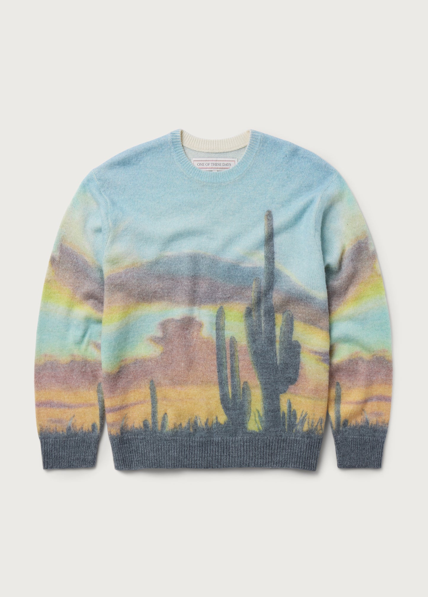 Standing Room Knit Sweater | Multi