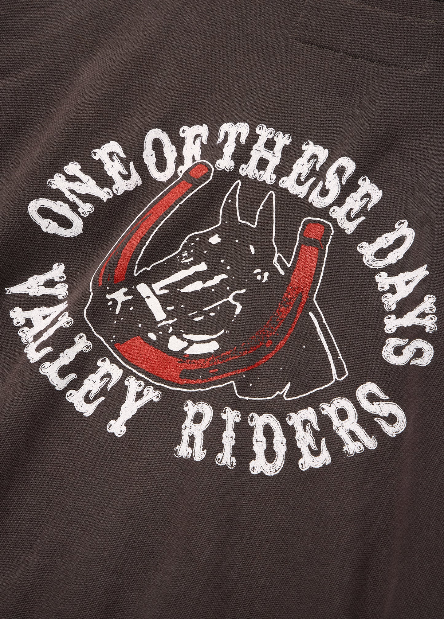 Valley Riders Zip Up Hooded Sweatshirt | Sun Faded Washed Brown