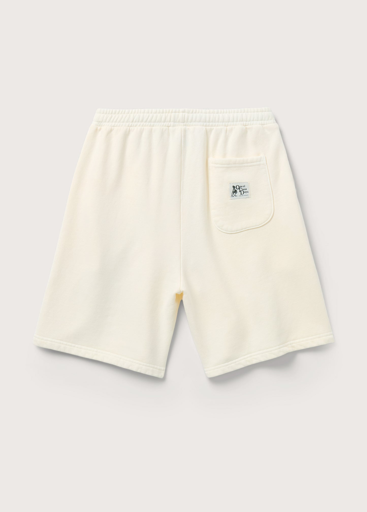 What Today Is For Sweatshort | Bone