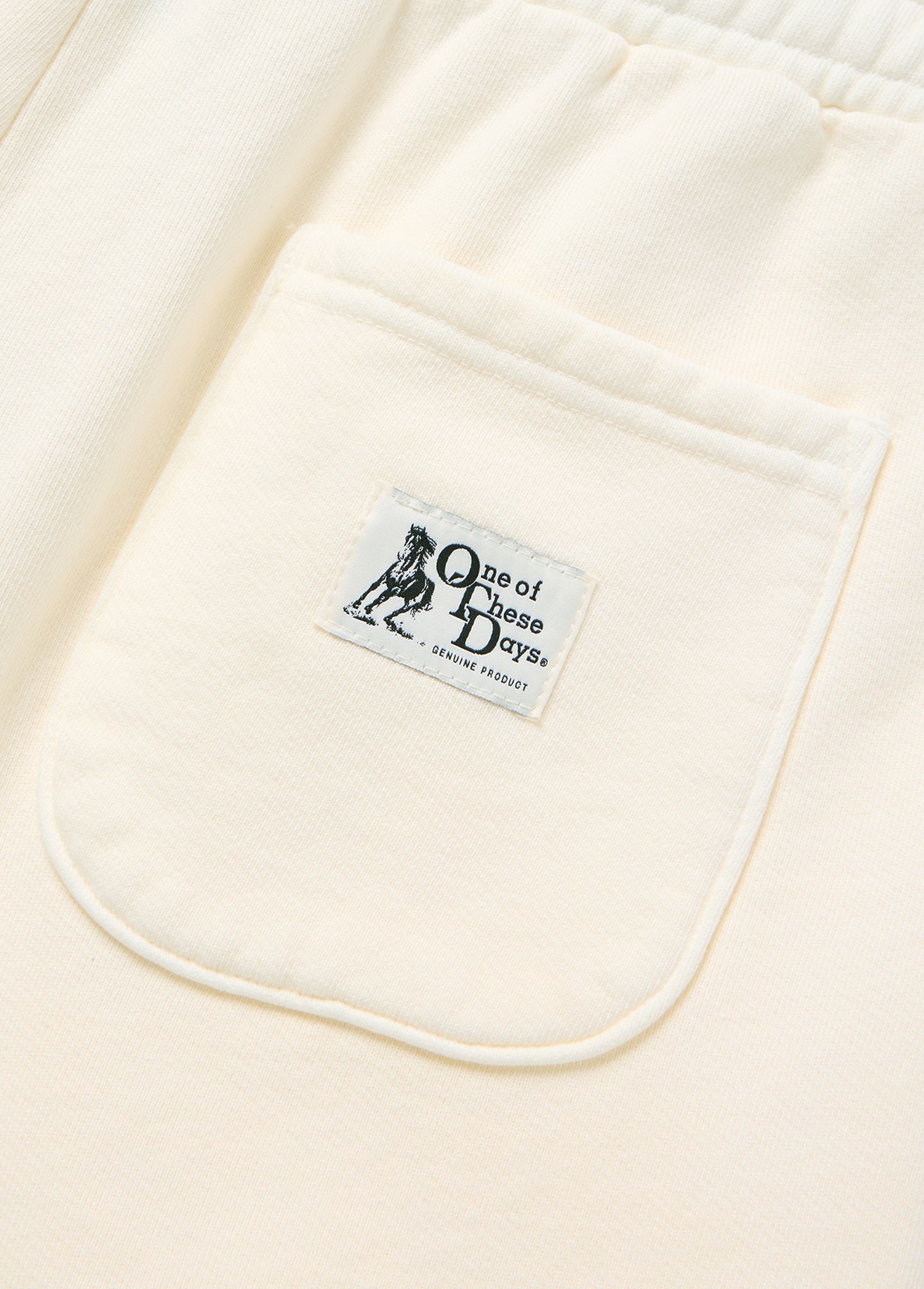 What Today Is For Sweatshort | Bone