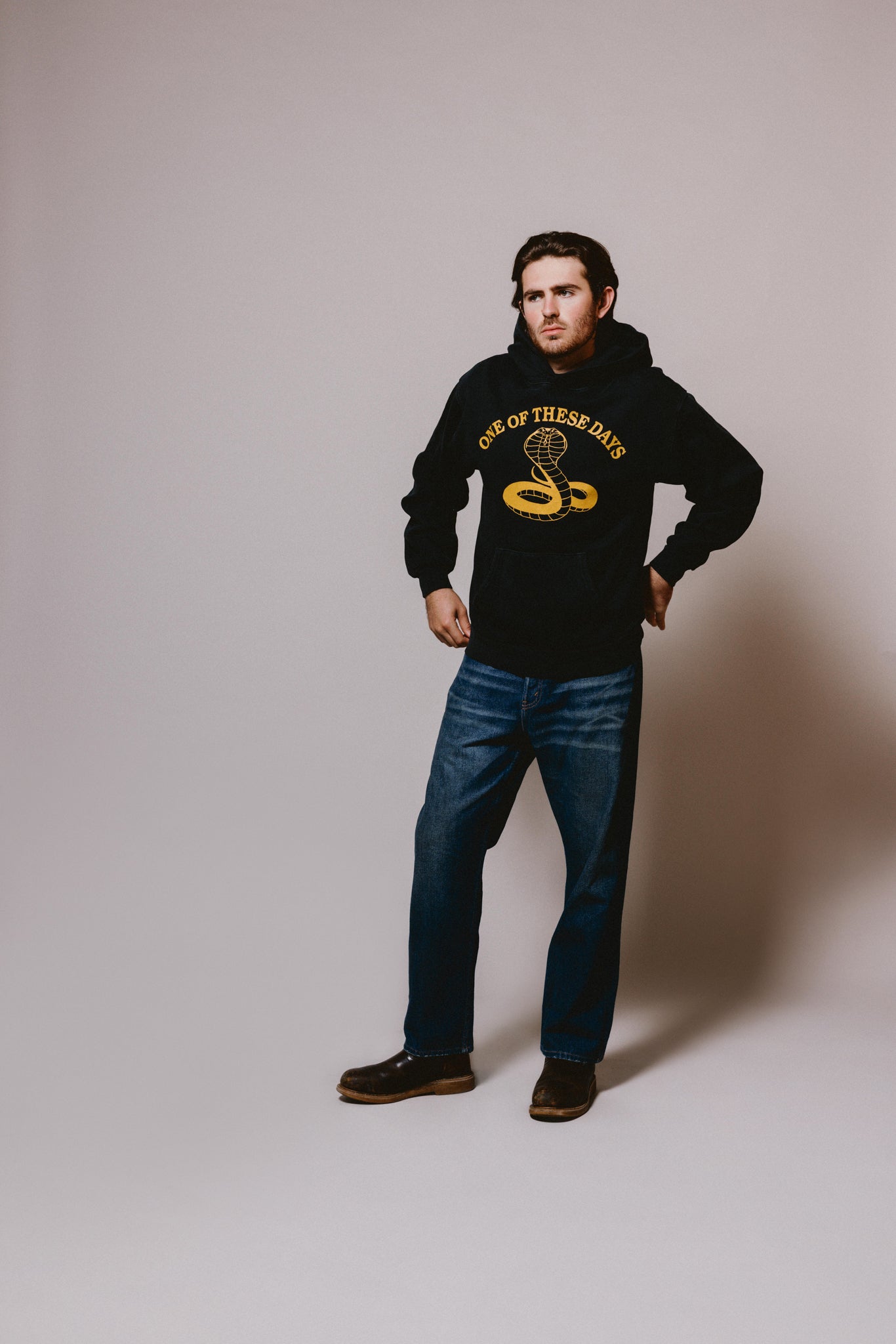 Cobra Hooded Sweatshirt | Washed Black
